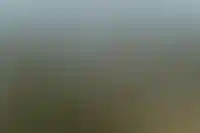 Петербург и Москва стали мировыми лидерами по росту цен на элитное жилье в 2024 году_2770