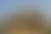 Крым вошел в топ-5 регионов по спросу на земли под ИЖС_370