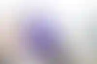 Владельцами домовых чатов в мессенджере Max будут органы стройнадзора_4977