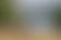 Строителей не включили в список самых скучающих в отпуске работников_4200