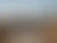 Заявки на проектное финансирование в августе-сентябре снизились в 2 раза_1413