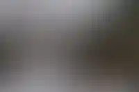 В Омской области изъяли 13 заброшенных дач в пользу муниципалитета по новому закону_6001