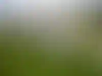 Земельные участки подорожали за год на четверть_791