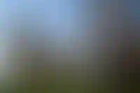 Строителям запретят подавать в суд на органы власти без досудебного урегулирования_949