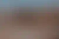 На месте тюрьмы «Кресты» будет музей, гастроулица и променад с «островами памяти»_5147