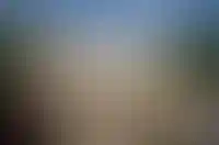 ЦБ РФ утвердил план проверки официальных доходов граждан при выдаче кредитов_4183