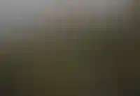 Доля ИЖС «под ключ» с участием профессиональных застройщиков занимает 27% рынка_4873