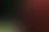 В ГД предлагают выплачивать молодым родителям 450 тысяч рублей на погашение ипотеки_3585