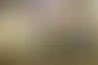 В Севастополе, Крыму и Санкт-Петербурге меньше всего просрочек по кредитам_2900