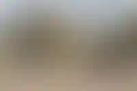 Почти две трети малоэтажных новостроек приходится на Волгоград, Подмосковье и Ленобласть_6164