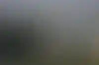 Недвижимость Узбекистана: девелоперы изучают возможности рынка_2814