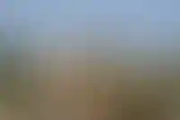 Максим Константинов/ТАСС