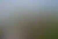 Изображение галереи