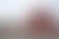 Государственный исторический музей и Никольская башня Московского Кремля