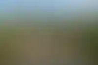 Изображение галереи