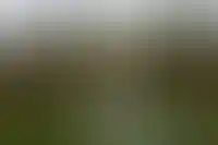 Фонтан на территории дворца Долмабахче