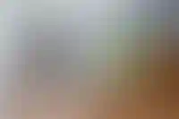 Изображение галереи