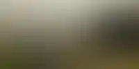 Теплица возле общего дома