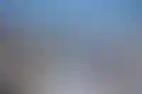 Изображение галереи