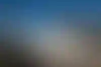 Вид на Рязанский Кремль, слева — колокольня, посредине — Спасский монастырь, за ним — Успенский собор