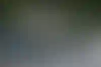 Изображение галереи