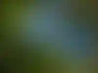 Изображение галереи
