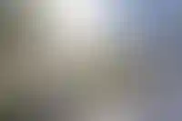 Изображение галереи