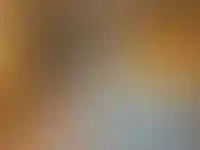 Изображение галереи