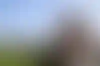 Вид на стену Новгородского кремля