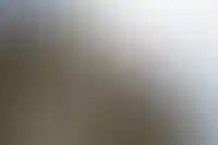 Главные ворота дворца Долмабахче