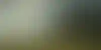Общий дом