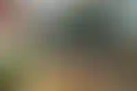 Изображение галереи