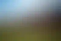 Стена Коломенского кремля