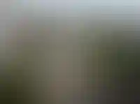 Изображение галереи