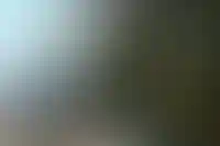 Украшение главной новогодней ели России в Кремле