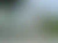 Вид на дворец Долмабахче