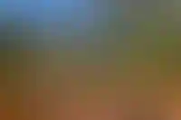 Изображение галереи