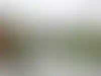 Изображение галереи