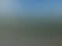 Изображение галереи