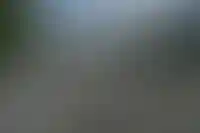 Изображение галереи