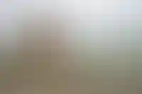 Вид на Успенский собор и Спасский монастырь