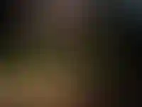 Изображение галереи