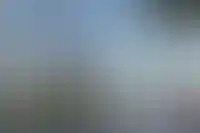 Изображение галереи