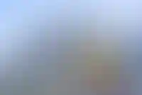 Изображение галереи