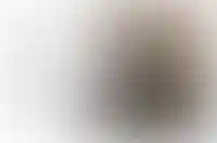 Рендеры «Метрикс Девелопмент»