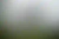 Изображение галереи