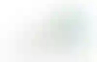 Доля выдач ипотечных кредитов по возрасту заемщика на момент плановой выплаты кредита, (%)