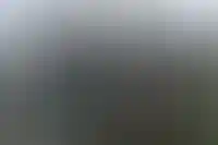 Изображение галереи