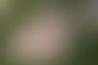 Изображение галереи