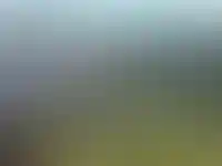 Последствия паводка в Якутии в июле 2025 года